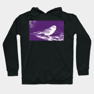 Purple Budgie Hoodie